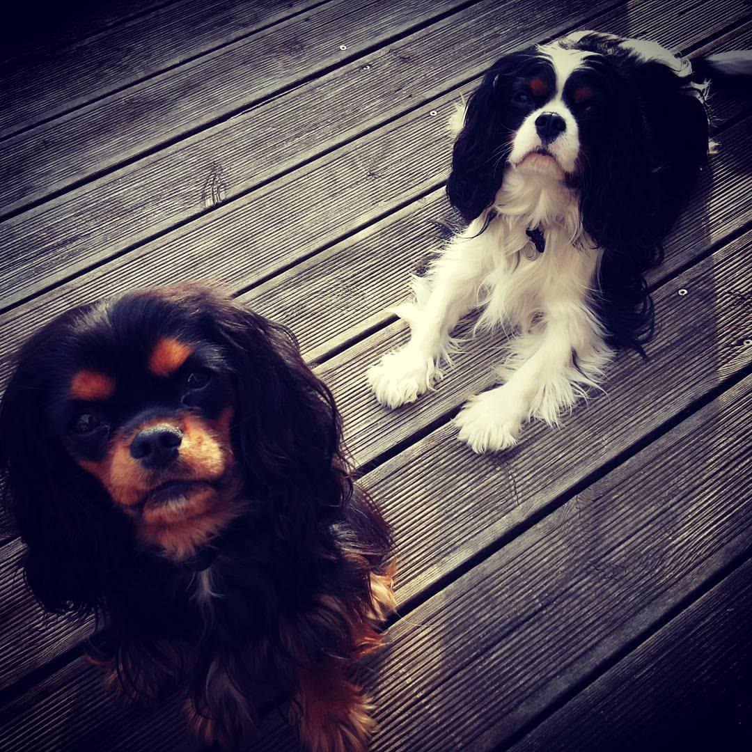 Marley & Lucky Marley & Lucky